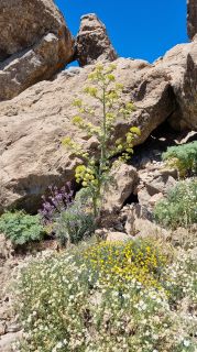 2023-04-GranCan-Roque_Nublo-100.jpg